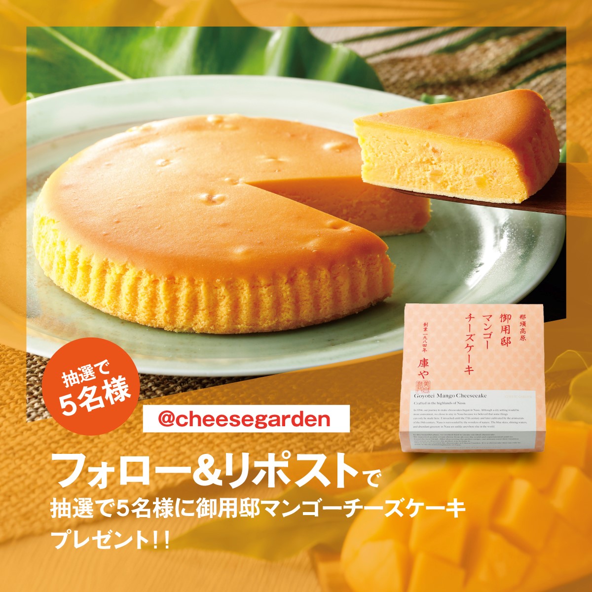 ご当地キティ チーズケーキ ビーナスブリッジ パイレーツ 明石 Xcp_0d5a4888-c5ae-44d6-b346-