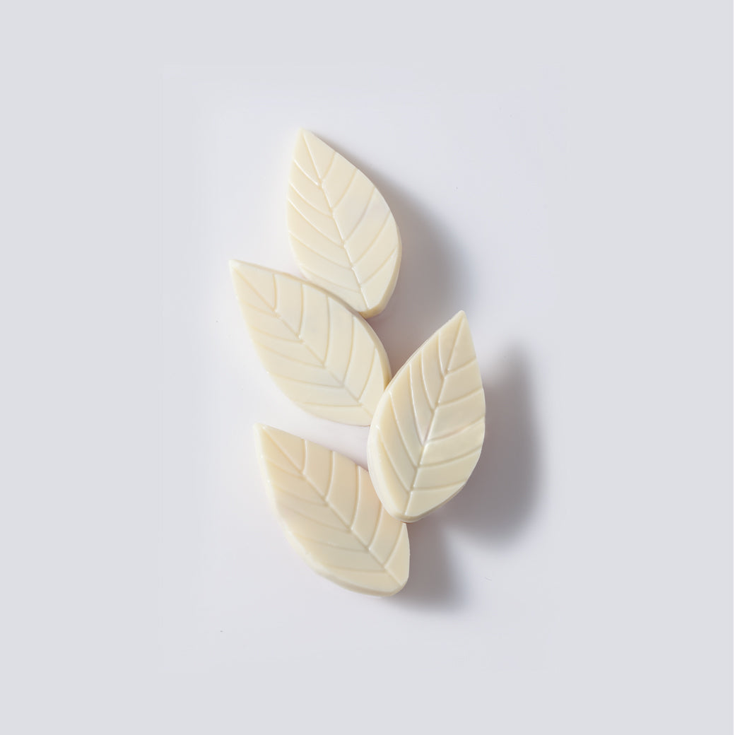 エヌカカオ リーフ（ホワイト） – チーズガーデン