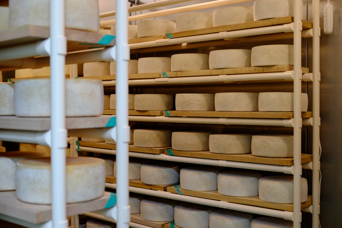 チーズ工房那須の森～チーズの種類～