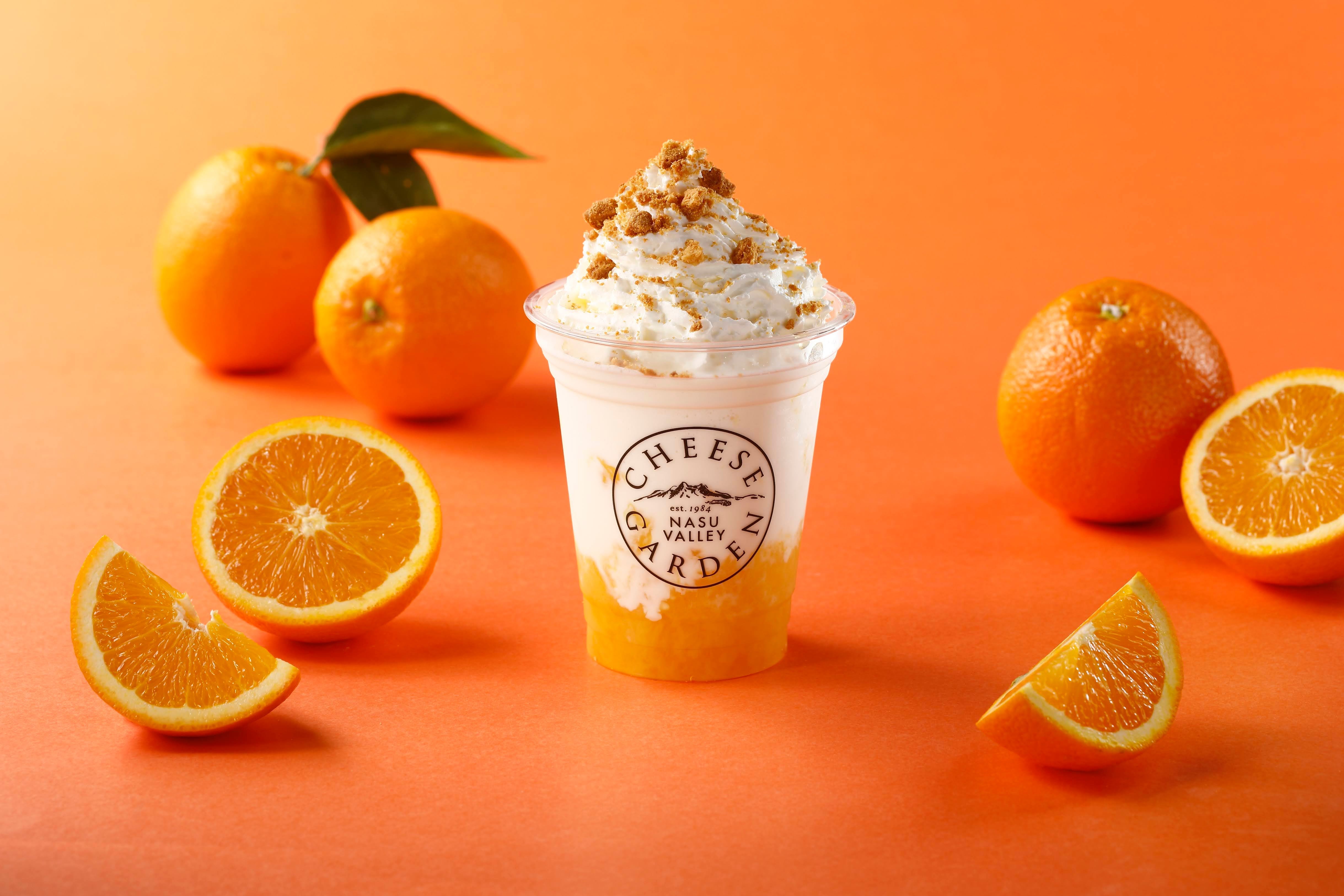 Pick-up – – チーズガーデン