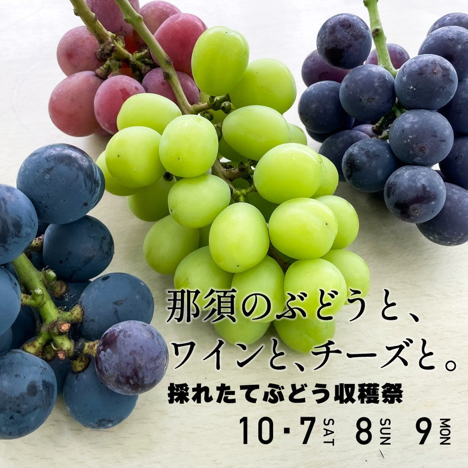 【イベント】那須本店・しらさぎ邸にて『採れたてぶどう収穫祭』開催