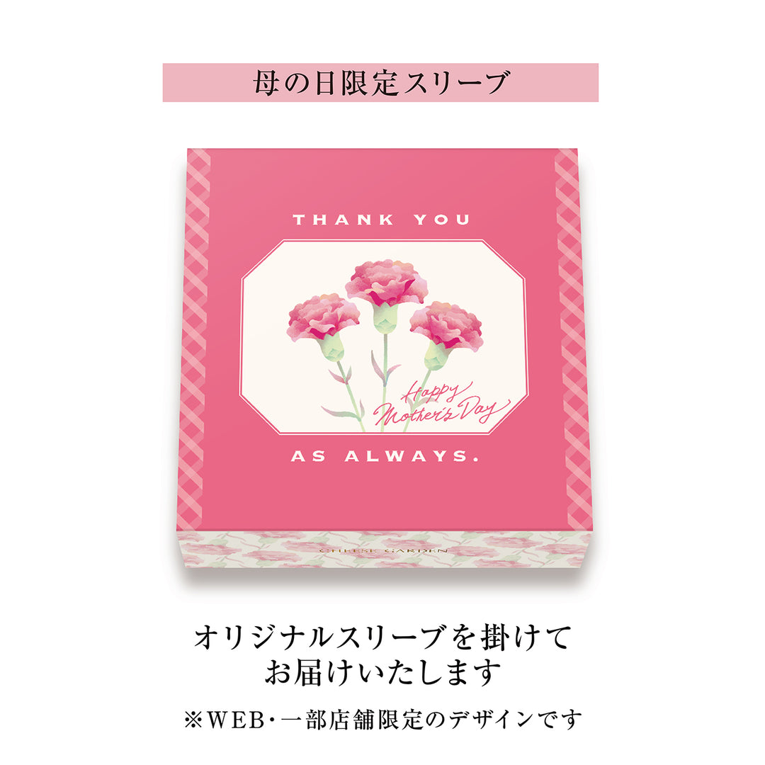 【母の日限定】カーネーション鉢＆御用邸チーズケーキのセット