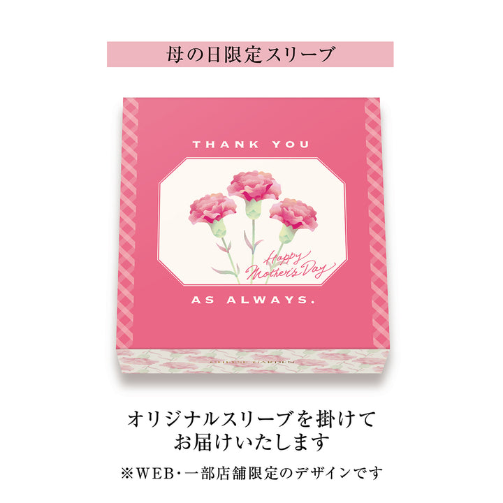 【母の日限定】カーネーション鉢＆御用邸チーズケーキのセット