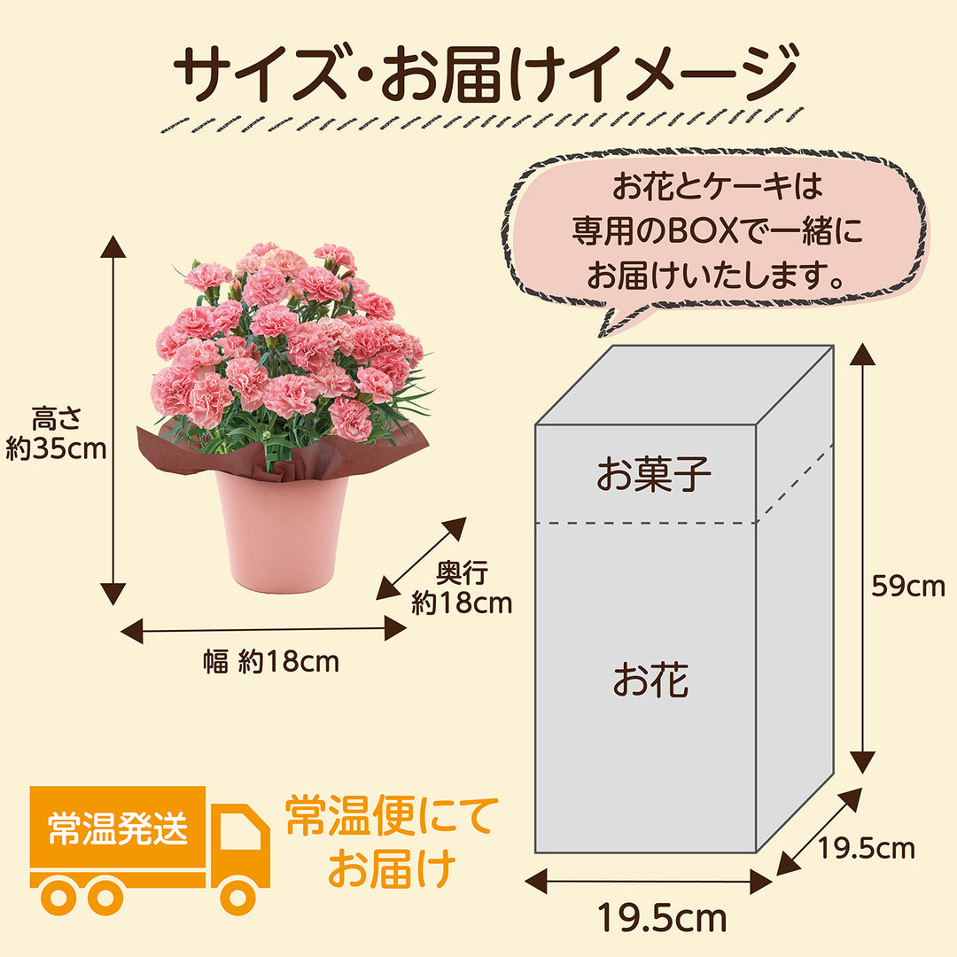 【母の日限定】カーネーション鉢＆御用邸チーズケーキのセット