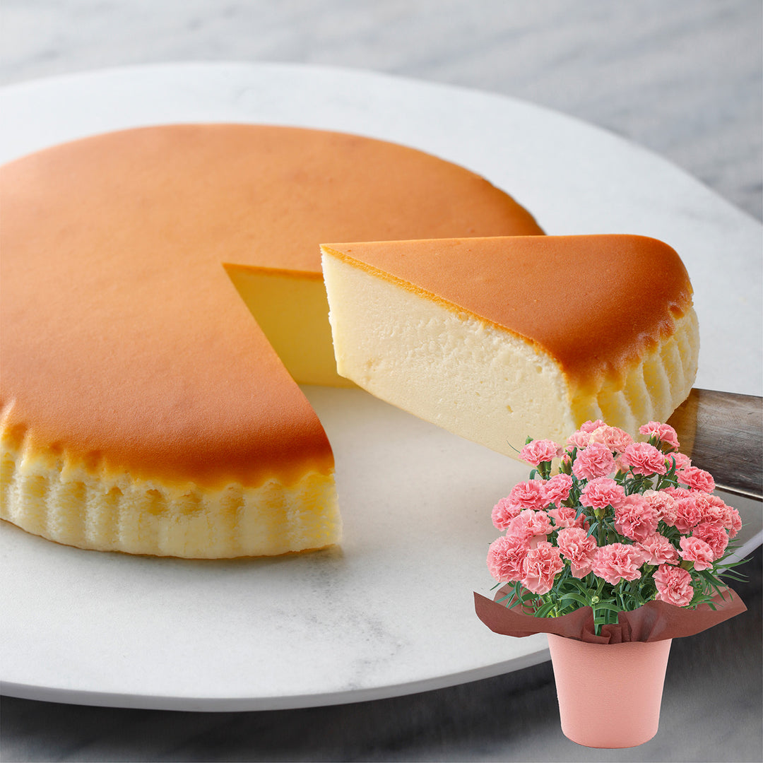【母の日限定】カーネーション鉢＆御用邸チーズケーキのセット