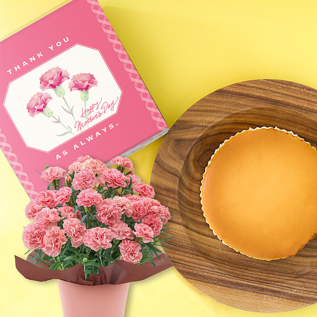 【母の日限定】カーネーション鉢＆御用邸チーズケーキのセット