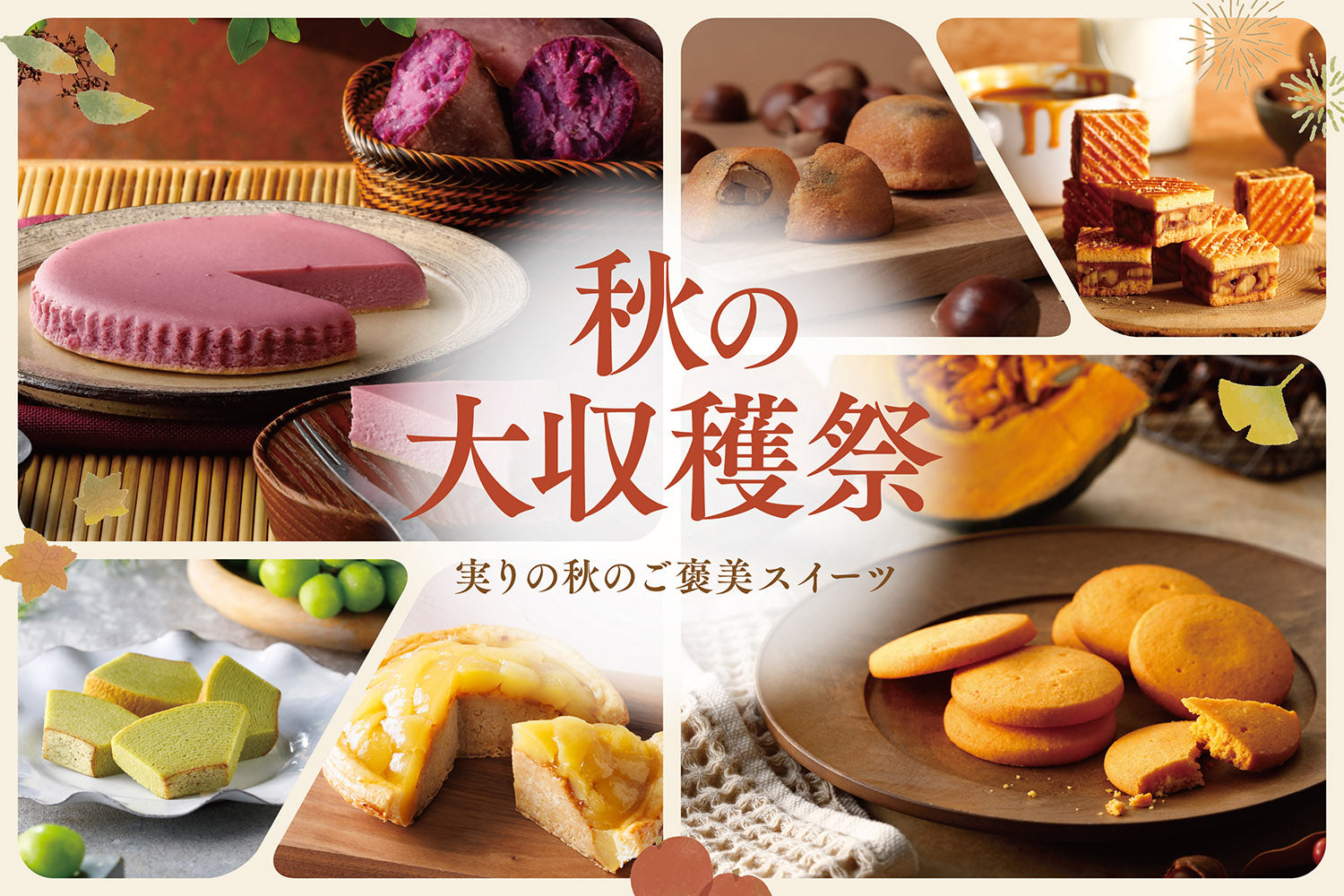 ピュアココ トーキョー】夏でも溶けにくい新感覚チョコレートスイーツ