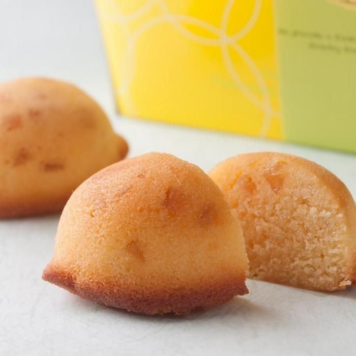 門林泰夫　造形菓子の世界 門林泰夫 造形菓子の世界 自分史 編集部だより Vol.33】栃木県『