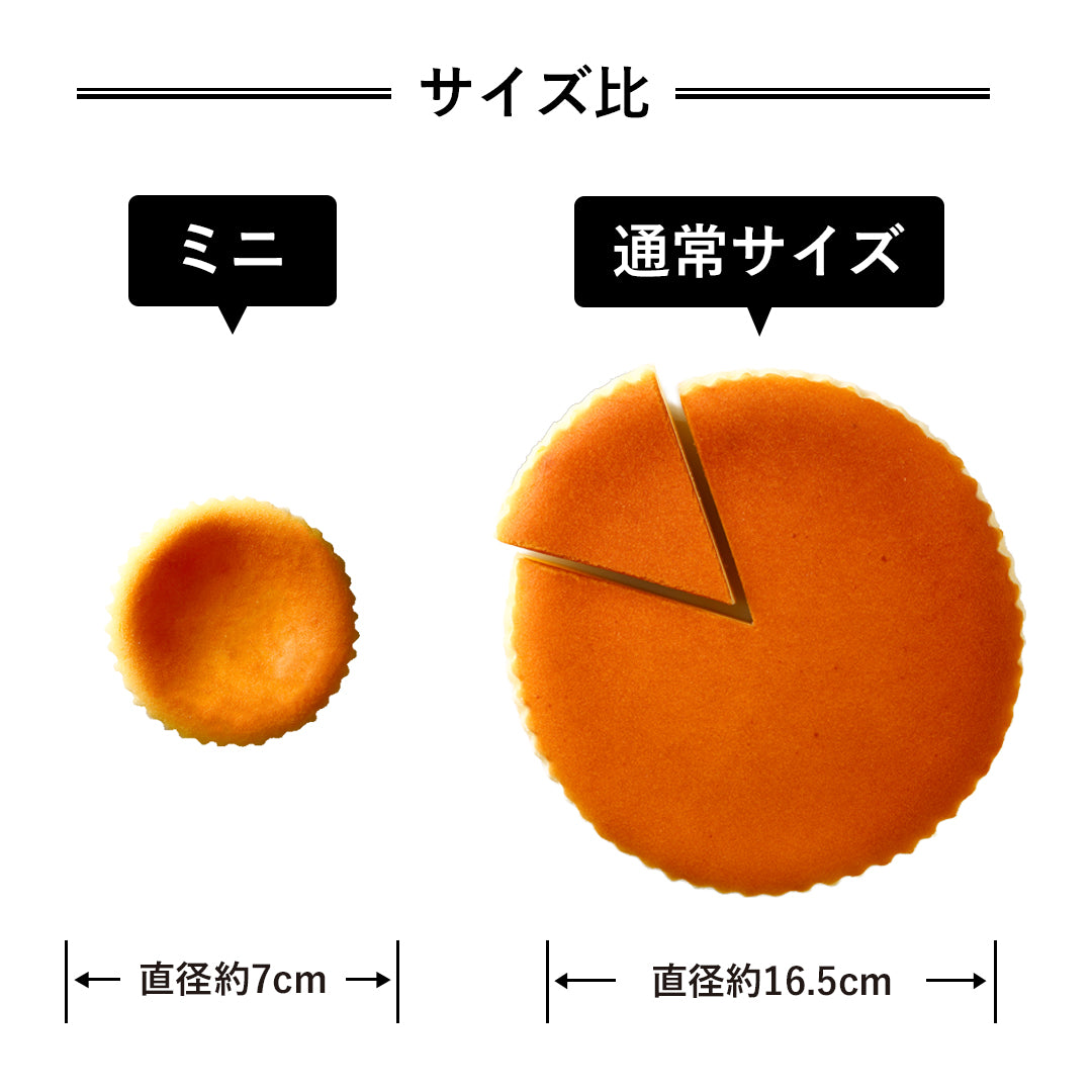 御用邸ミニチーズケーキ（6個入） – チーズガーデン